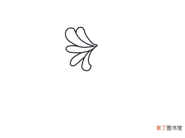 白菊花简笔画