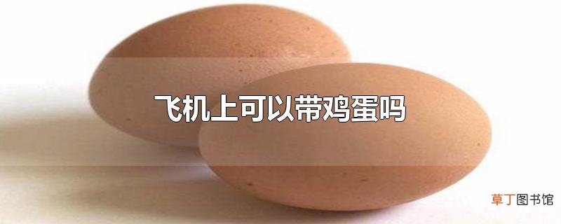 飞机上可以带鸡蛋吗