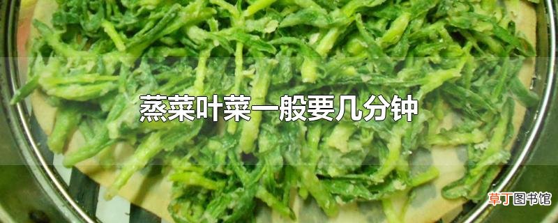 蒸菜叶菜一般要几分钟