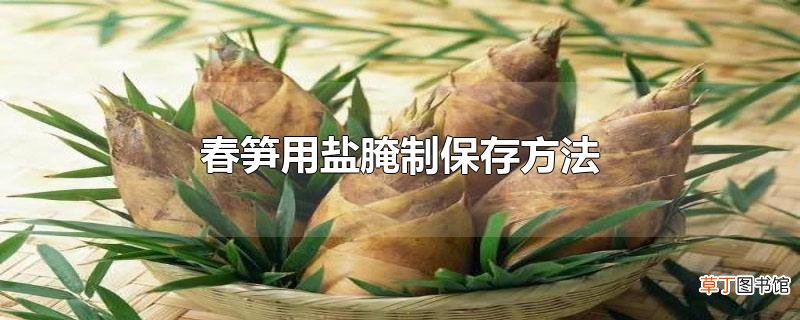 春笋用盐腌制保存方法