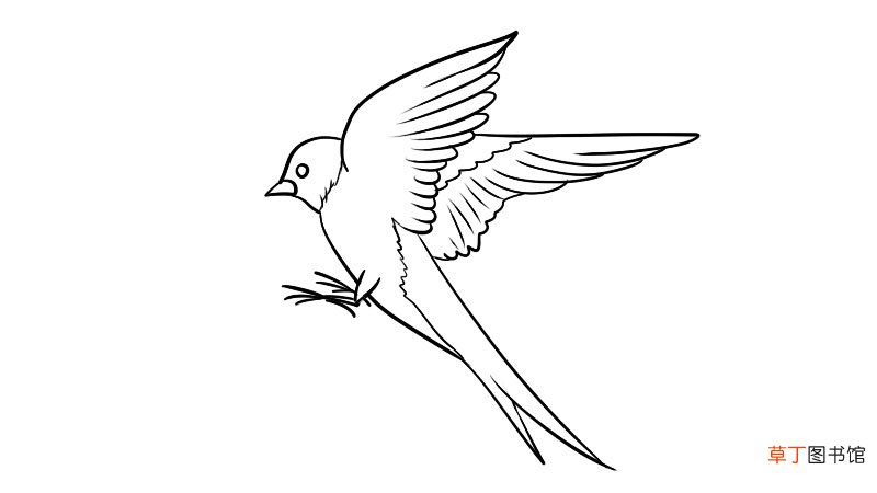 燕子简笔画 燕子的画法
