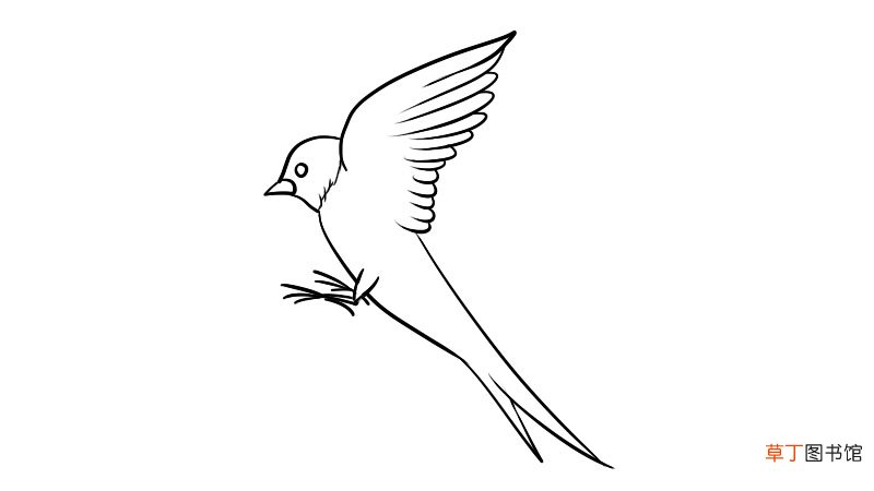 燕子简笔画 燕子的画法