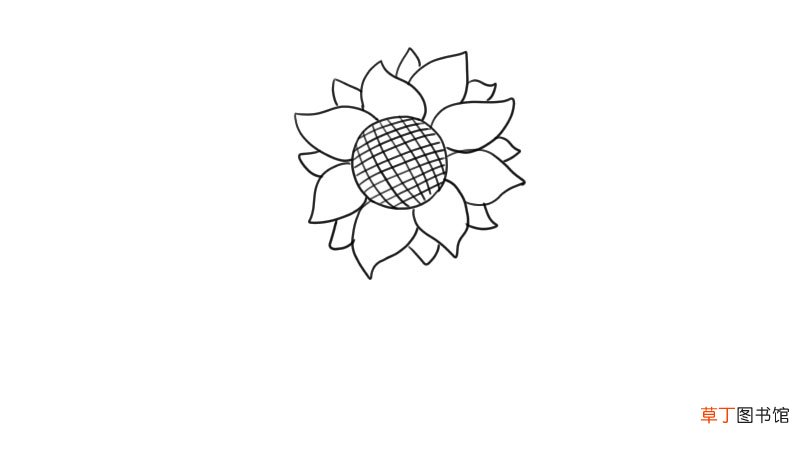 向日葵简笔画 向日葵的画法