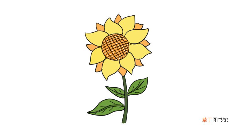 向日葵简笔画 向日葵的画法