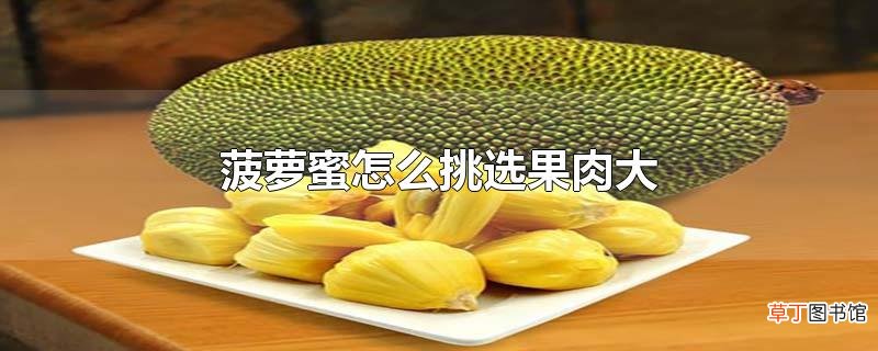 菠萝蜜怎么挑选果肉大
