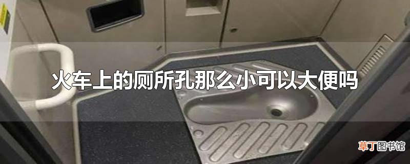 火车上的厕所孔那么小可以大便吗