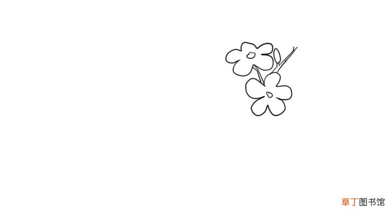 迎春花简笔画 迎春花怎么画