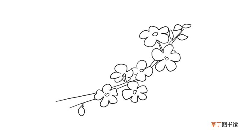 迎春花简笔画 迎春花怎么画