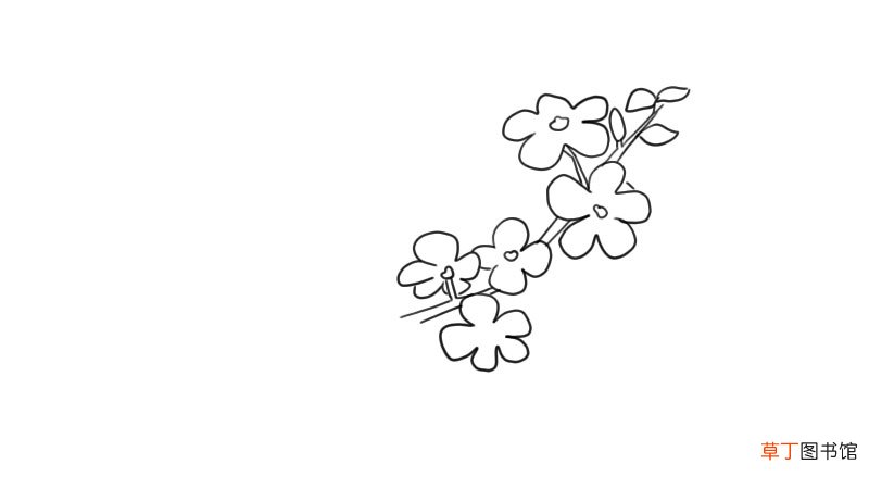 迎春花简笔画 迎春花怎么画