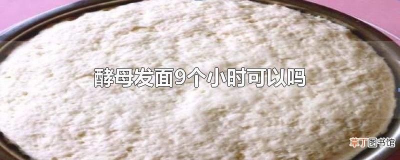 酵母发面9个小时可以吗