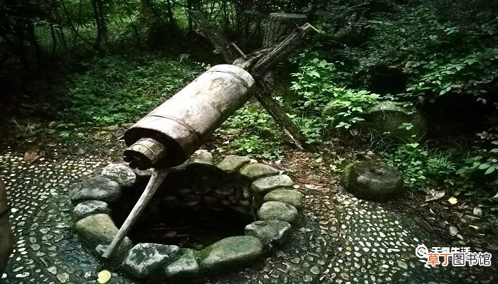 穿井得人文言文的翻译及意思 穿井得一人文言文原文及翻译