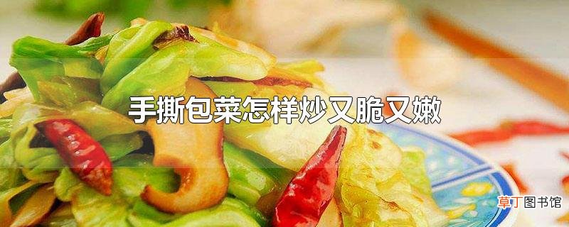 手撕包菜怎样炒又脆又嫩