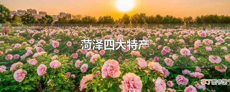 菏泽四大特产