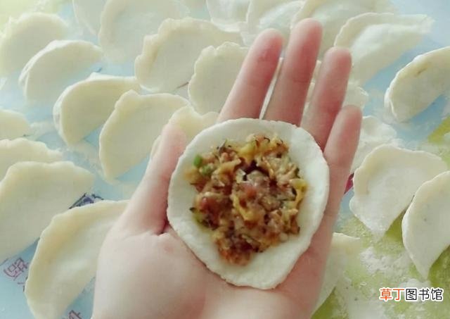 正宗羊肉馅饺子做法大全 羊肉馅饺子怎么调馅好吃