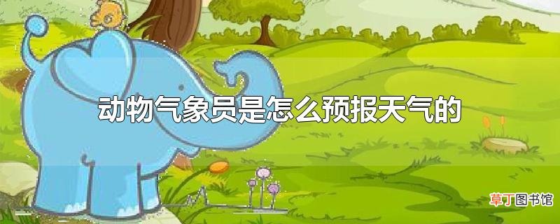 动物气象员是怎么预报天气的