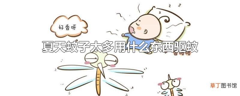 夏天蚊子太多用什么东西驱蚊