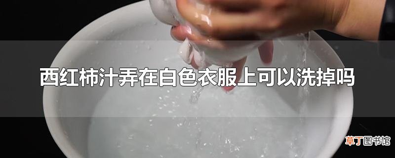 西红柿汁弄在白色衣服上可以洗掉吗