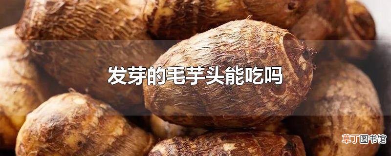 发芽的毛芋头能吃吗