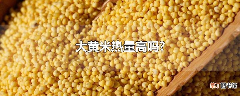 大黄米热量高吗?