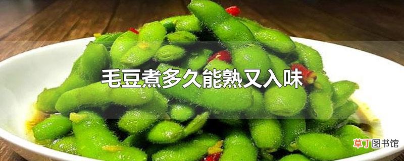 毛豆煮多久能熟又入味