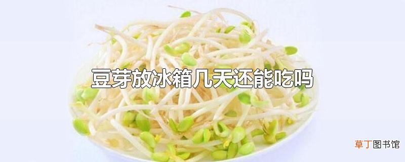 豆芽放冰箱几天还能吃吗