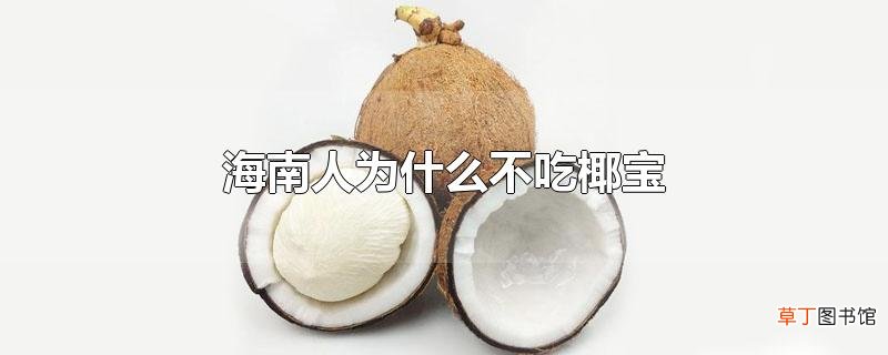 海南人为什么不吃椰宝