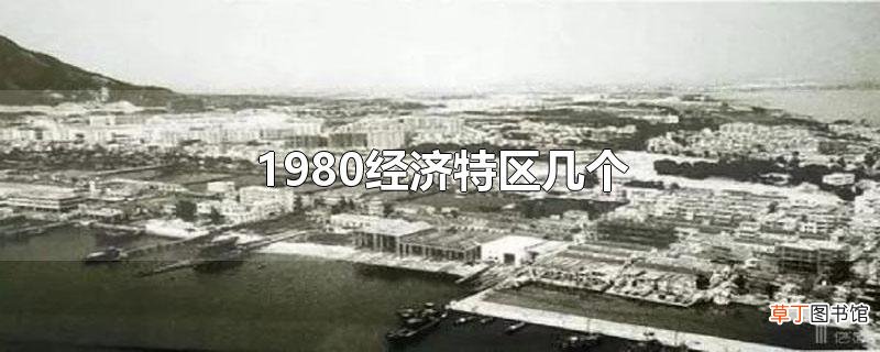 1980经济特区几个