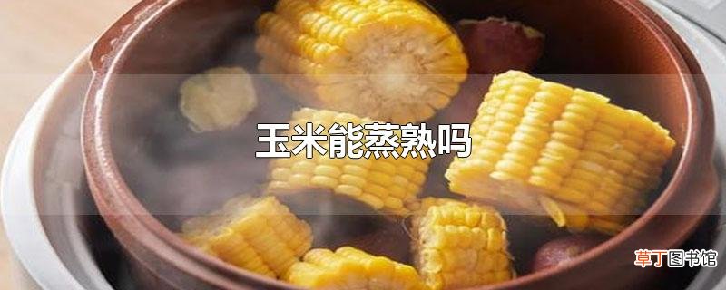 玉米能蒸熟吗