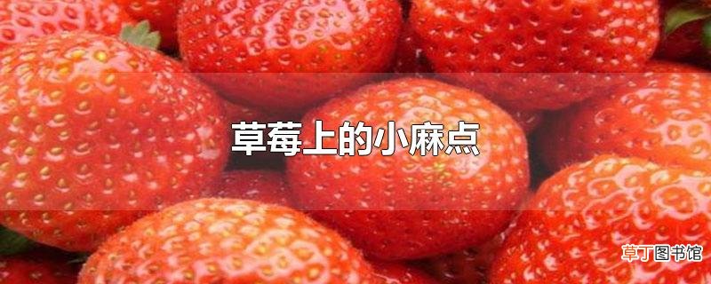草莓上的小麻点