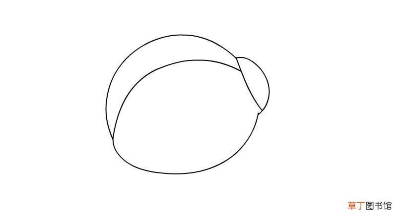 瓢虫简笔画 瓢虫如何画
