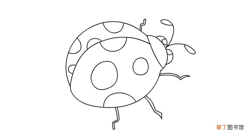 瓢虫简笔画 瓢虫如何画
