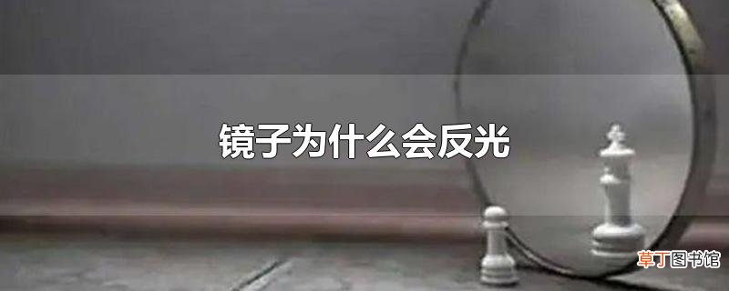 镜子为什么会反光