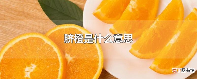 脐橙是什么意思