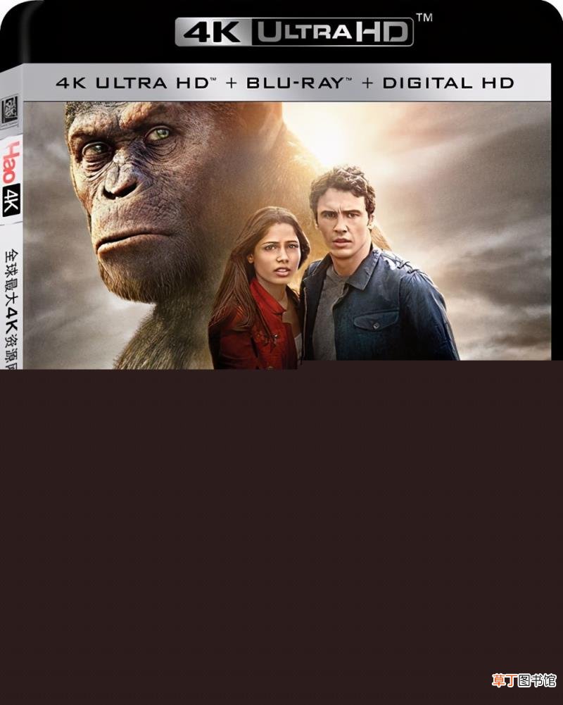 dvd,播放器哪个品牌好 可以放dvd的播放器推荐