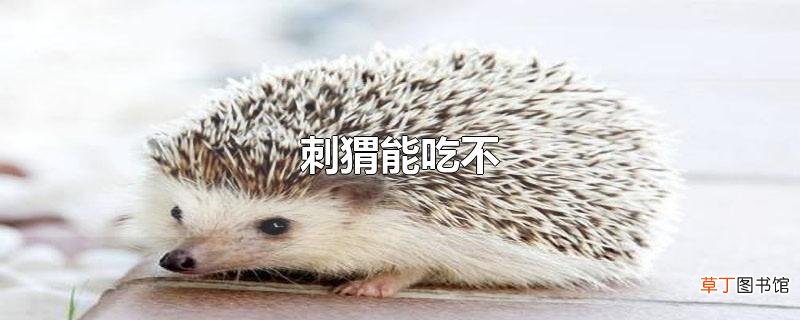 刺猬能吃不