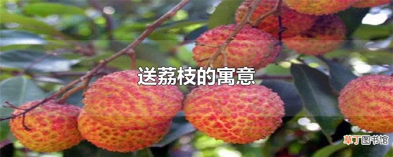 送荔枝的寓意