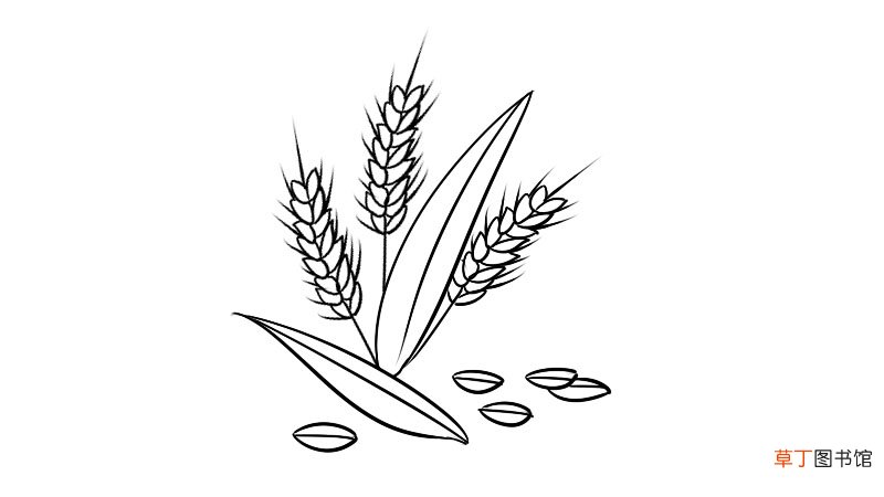 芒种简笔画怎么画芒种简笔画画法
