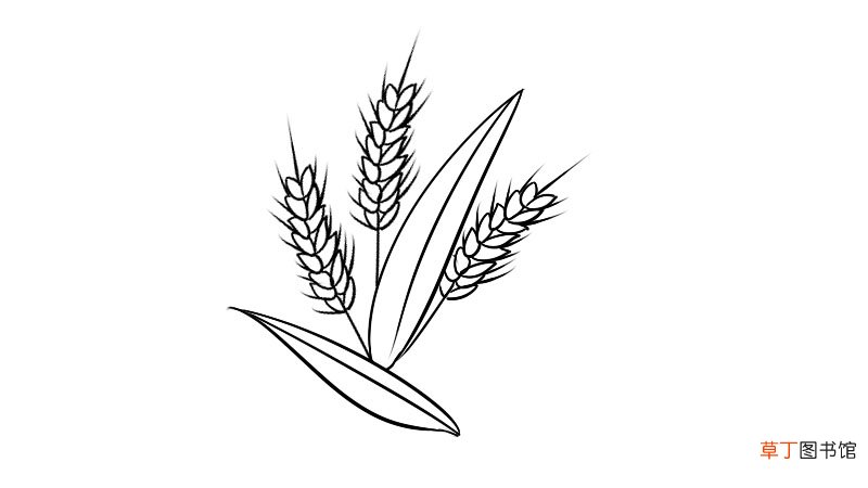 芒种简笔画怎么画芒种简笔画画法