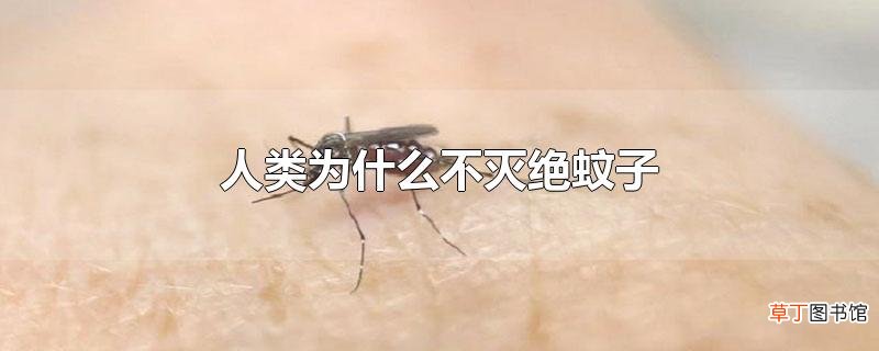 人类为什么不灭绝蚊子