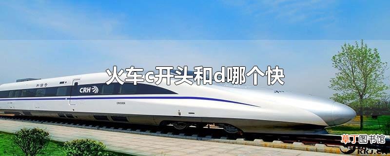 火车c开头和d哪个快