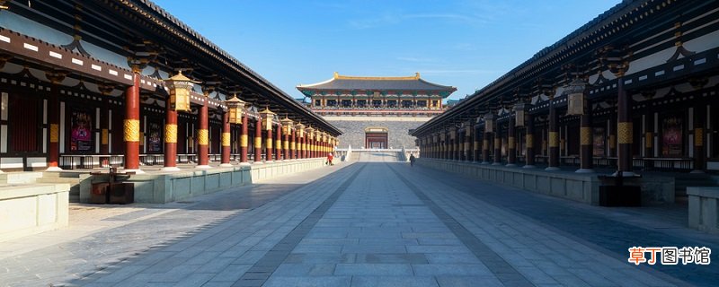 唐朝实行募兵制和租庸调制的共同作用是 唐朝实行募兵制和租庸调制的共同作用是