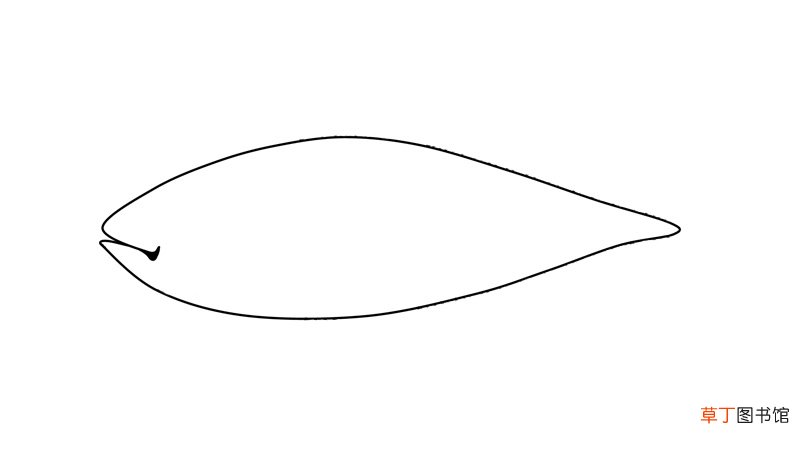 鱼简笔画 鱼怎么画