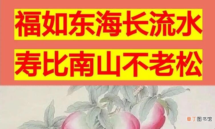寿比南山不老松是什么意思