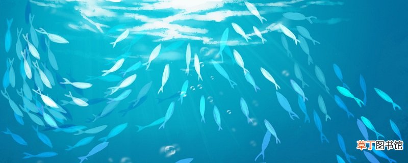 海底两万里冰山封路主要内容 海底两万里冰山封路的主要内容是什么