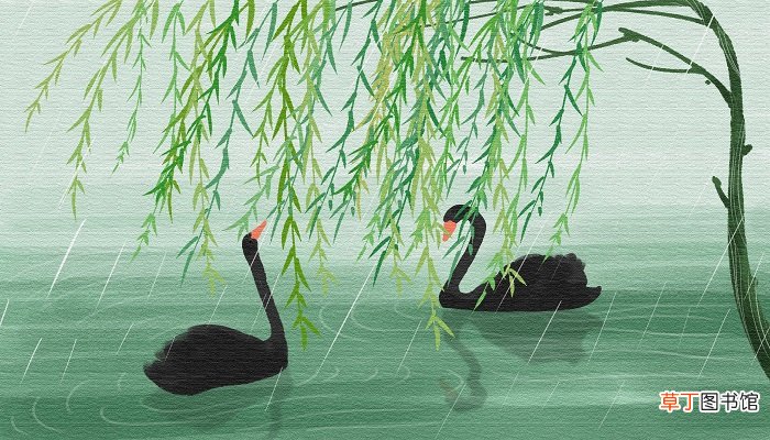 夜雨瞒人去润花上一句是什么 夜雨瞒人去润花上一句