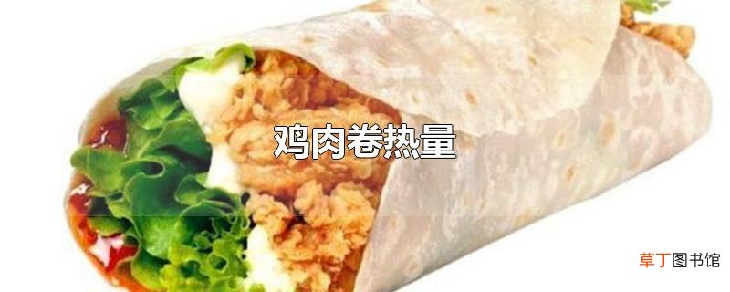 鸡肉卷热量