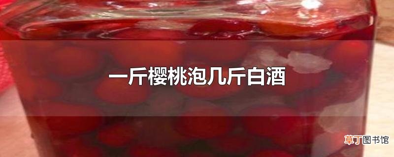 一斤樱桃泡几斤白酒