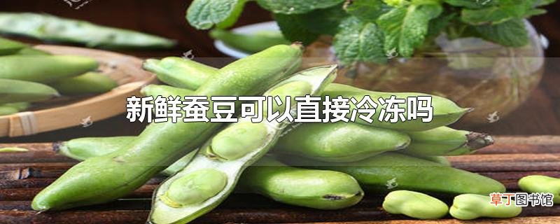 新鲜蚕豆可以直接冷冻吗