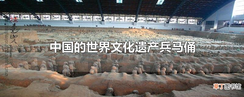 中国的世界文化遗产兵马俑
