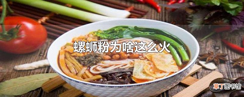 螺蛳粉为啥这么火